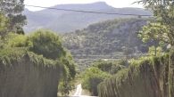Panorámica de olivares a la entrada del IFAPA en Cabra (Córdoba) - © María Gilabert / Revista Casa Mediterráneo.