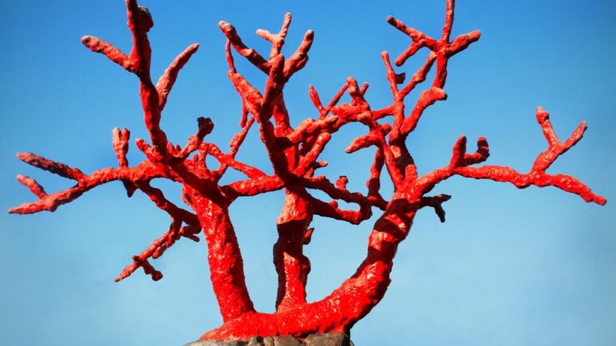 Tabarka, monumento al coral - © Carma Casulá.