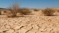 Efectos de la desertificación en Egipto.