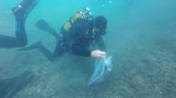 Un buzo recoge residuos del fondo de la bahía de la isla de Nueva Tabarca.