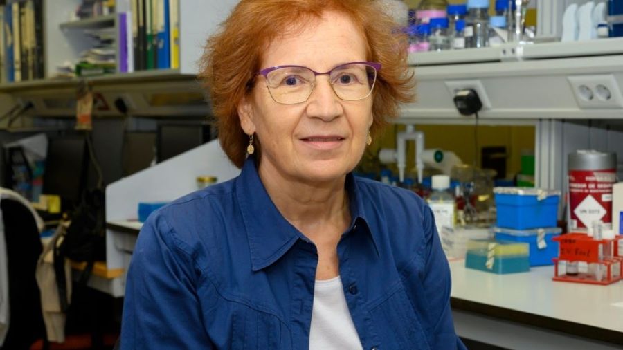 Margarita del Val.