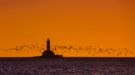 Fotografía integrante de la exposición 'Faros de Croacia'. Hrid Porer - Zoran Jelača.