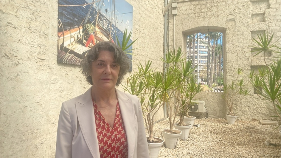 Anna Terrón, cofundadora de Instrategies y senior fellow del Migration Policy Institute.